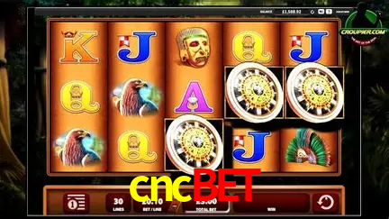 Descubra a Magia dos Jogos de Arcade no cncbet